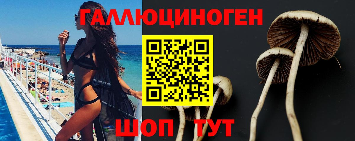Междуреченск  Псилоцибиновые грибы GOLDEN TEACHER  Вход с VPN 